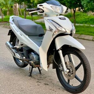 379937067 6821383281256115 1778671343344271122 n